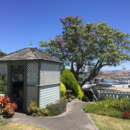 Jacaranda Lodge - Napier Hill Holiday Home Eksteriør billede