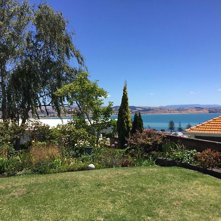 Jacaranda Lodge - Napier Hill Holiday Home Eksteriør billede