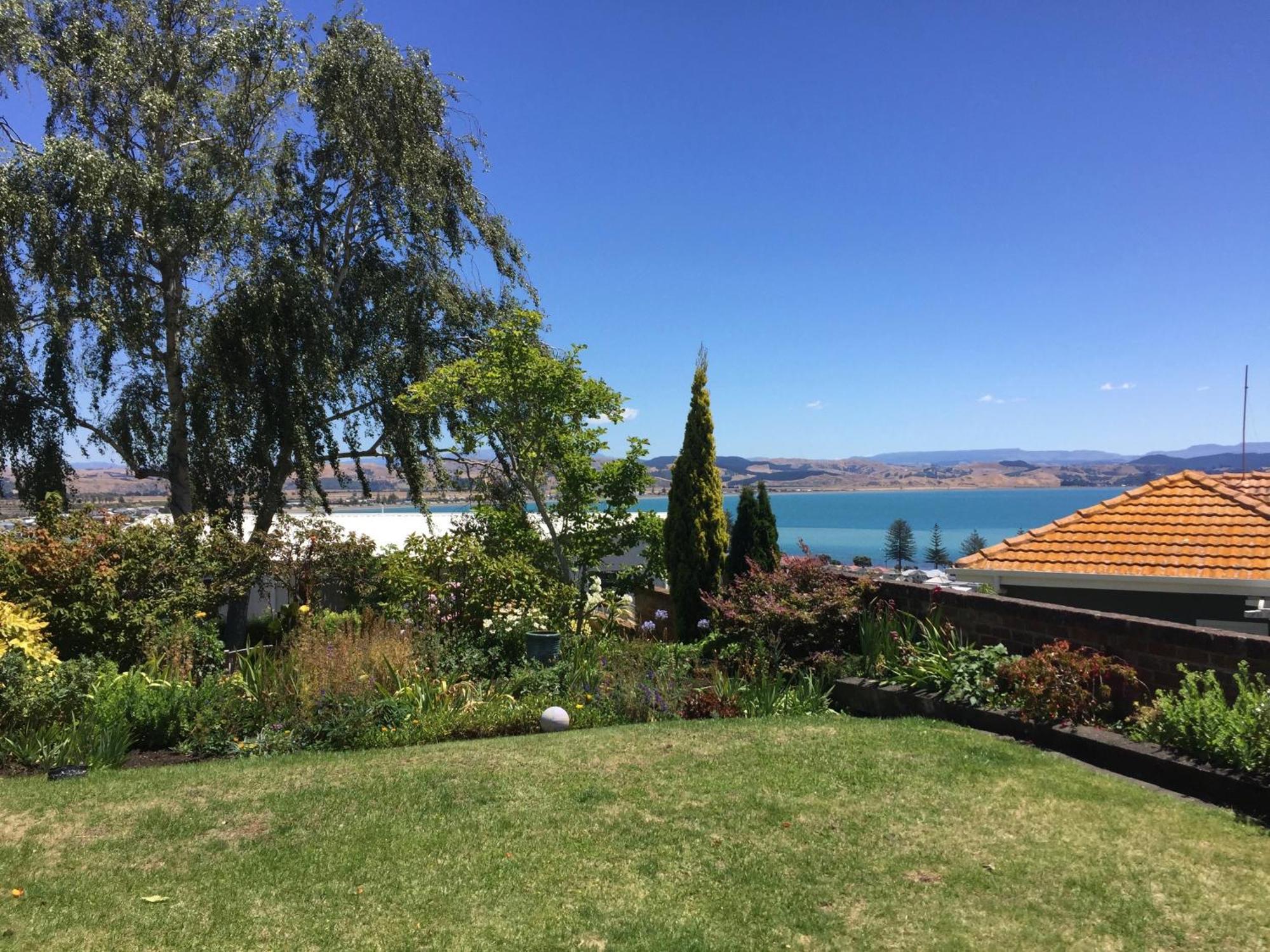 Jacaranda Lodge - Napier Hill Holiday Home Eksteriør billede